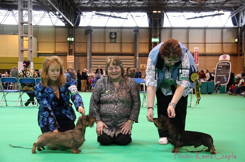 Crufts2011_2 1660.jpg